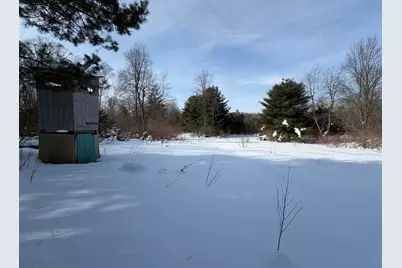 N N Felch Ave Avenue, White Cloud, MI 49349 - Photo 23