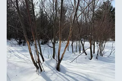 N N Felch Ave Avenue, White Cloud, MI 49349 - Photo 9