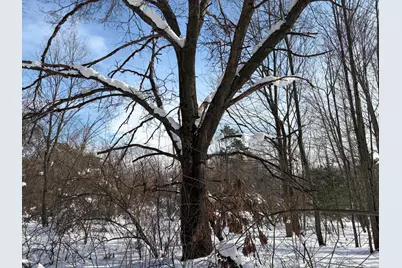 N N Felch Ave Avenue, White Cloud, MI 49349 - Photo 13