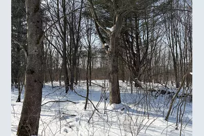 N N Felch Ave Avenue, White Cloud, MI 49349 - Photo 19