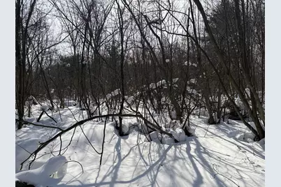 N N Felch Ave Avenue, White Cloud, MI 49349 - Photo 15