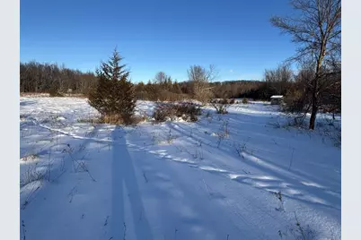 6711 S Tripp Road, Osseo, MI 49266 - Photo 7