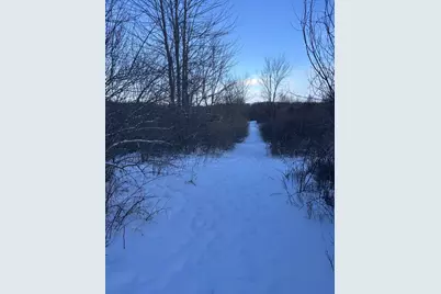 6711 S Tripp Road, Osseo, MI 49266 - Photo 5