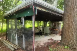 6346 E Peavey St, Walkerville, MI 49459 - Photo 31