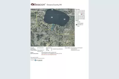 6346 E Peavey Street, Walkerville, MI 49459 - Photo 35