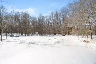 1150 42nd St, Allegan, MI 49010 - Photo 37