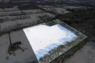 V/L W Michigan Ave, Albion, MI 49224 - Photo 1