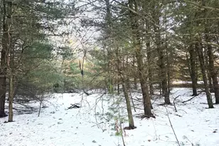 3696 S Locust Ave, Newaygo, MI 49337 - Photo 15