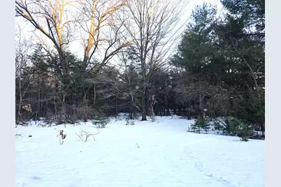 3696 S Locust Avenue, Newaygo, MI 49337 - Photo 17