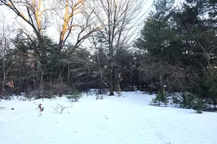 3696 S Locust Ave, Newaygo, MI 49337 - Photo 17