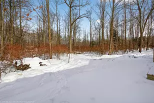 6811 116th Ave, Fennville, MI 49408 - Photo 25