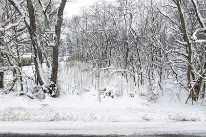 0 N Whites Bridge Road, Belding, MI 48809 - Photo 5