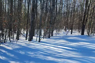 W Starlight Ridge Circle, Onekama, MI 49675 - Photo 1