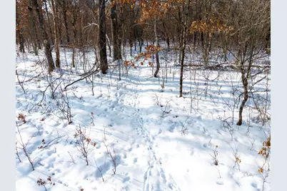 2578 E 36th Street, Idlewild, MI 49642 - Photo 15