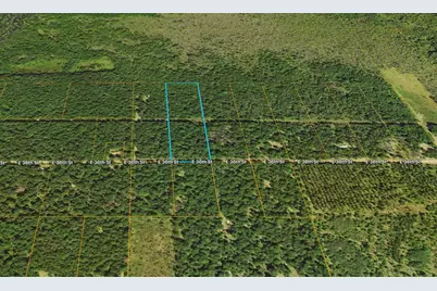 2578 E 36th Street, Idlewild, MI 49642 - Photo 5