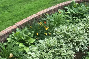 21154 Hale St, Clinton Twp, MI 48036 - Photo 61