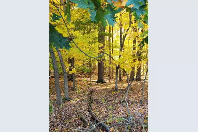 V/L 48th Avenue, Lawrence, MI 49064 - Photo 15