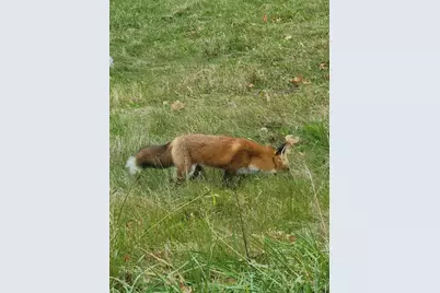 V/L 48th Avenue, Lawrence, MI 49064 - Photo 19