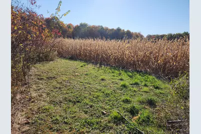 V/L 48th Avenue, Lawrence, MI 49064 - Photo 9