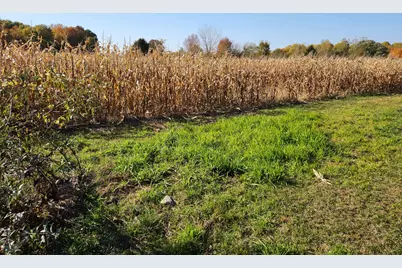 V/L 48th Avenue, Lawrence, MI 49064 - Photo 11