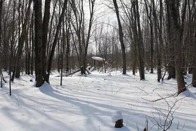 6095 E M 20, Hesperia, MI 49421 - Photo 29