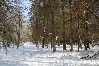 6095 E M 20, Hesperia, MI 49421 - Photo 37