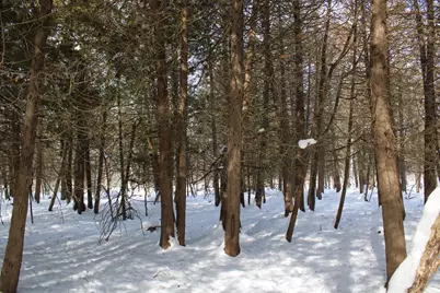 6095 E M 20, Hesperia, MI 49421 - Photo 41