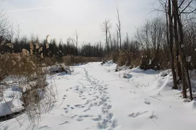 6095 E M 20, Hesperia, MI 49421 - Photo 33