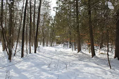 6095 E M 20, Hesperia, MI 49421 - Photo 39