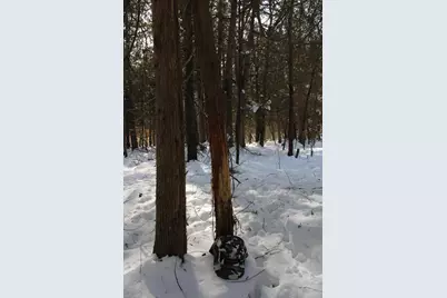 6095 E M 20, Hesperia, MI 49421 - Photo 35