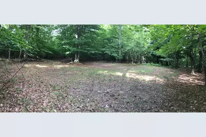 Wildwood Trail, Manistee, MI 49660 - Photo 9