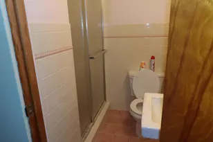 415 Remus Dr, Buchanan, MI 49107 - Photo 17