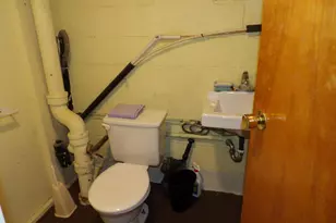 415 Remus Dr, Buchanan, MI 49107 - Photo 43