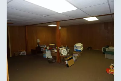 415 Remus Drive, Buchanan, MI 49107 - Photo 49