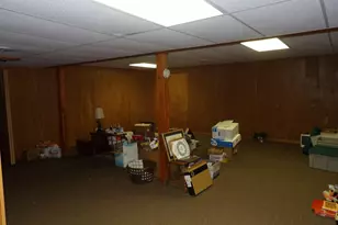 415 Remus Dr, Buchanan, MI 49107 - Photo 49