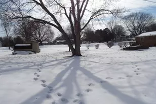 415 Remus Dr, Buchanan, MI 49107 - Photo 33