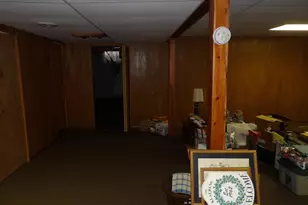 415 Remus Dr, Buchanan, MI 49107 - Photo 53