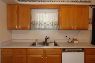 415 Remus Dr, Buchanan, MI 49107 - Photo 11