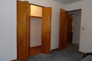 415 Remus Dr, Buchanan, MI 49107 - Photo 21