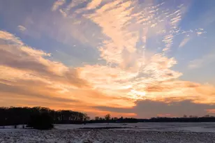 4959 Miller Rd, Ann Arbor, MI 48103 - Photo 107