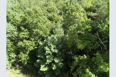 00 N Hawkins Road, Luther, MI 49656 - Photo 3