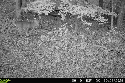 5860 S 36th Street, Climax, MI 49034 - Photo 59