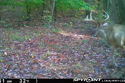 5860 S 36th Street, Climax, MI 49034 - Photo 57