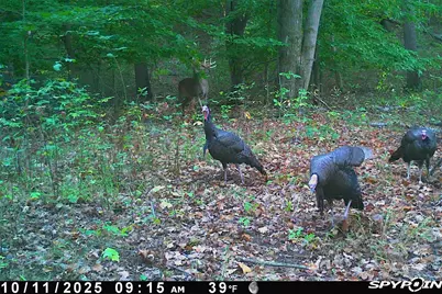 5860 S 36th Street, Climax, MI 49034 - Photo 55