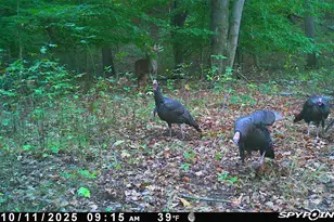 5860 S 36th St, Climax, MI 49034 - Photo 55