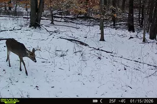 5860 S 36th St, Climax, MI 49034 - Photo 61