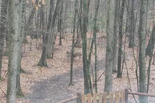 9310 S Annie Ln, Newaygo, MI 49337 - Photo 59