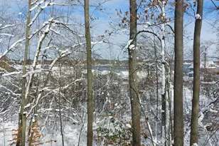 9310 S Annie Ln, Newaygo, MI 49337 - Photo 29