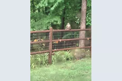 9310 S Annie Lane, Newaygo, MI 49337 - Photo 57