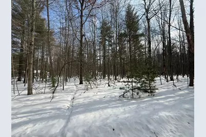 6804 Maple Court, Canadian Lakes, MI 49346 - Photo 3